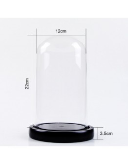 圓型玻璃罩直徑12cm