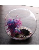 35cm玻璃魚缸