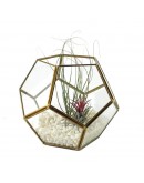 北歐幾何玻璃花房N款