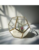 北歐幾何玻璃花房N款