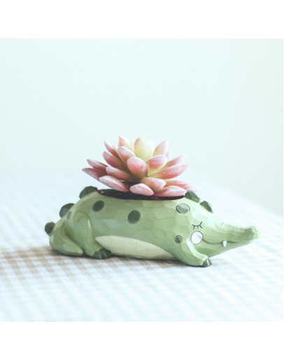 花園派對鱷咻咻花盆